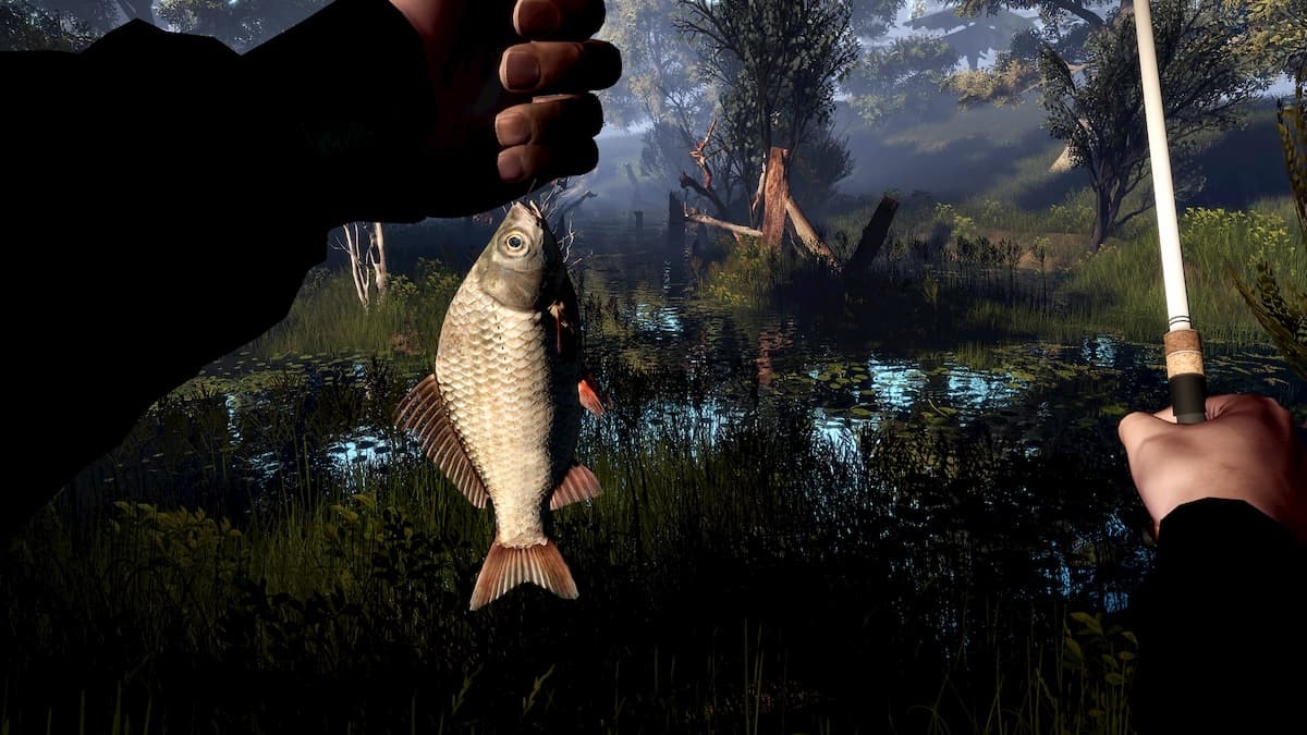 Game câu cá cực hay: Professional Fishing